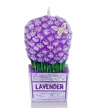 ŚWIECE LAVENDER BOUTIQUE...