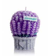 ŚWIECE LAVENDER FIGURKI 70 mm BOX - 20 SZTUK